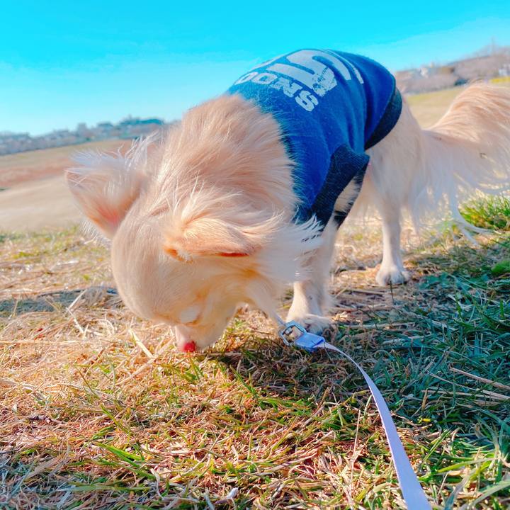 65e0869a bc13 4e1f 841a c82ebcbcb04c 1645689723317