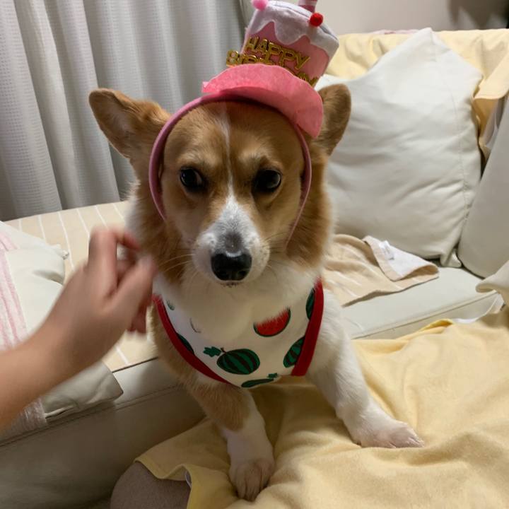 65e08eb6 b773 4e6e bff8 bc954da5b629 1589808386984