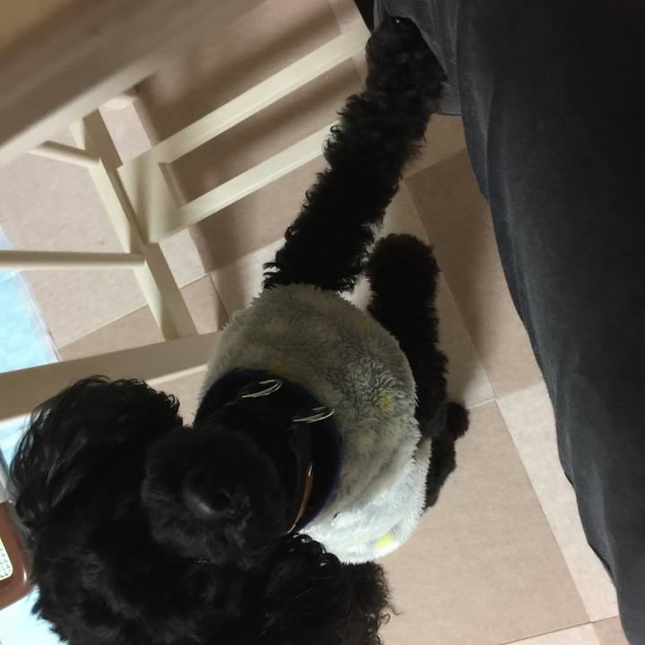 65e099bb 6885 4681 b695 4a27642b47b9 1521012122623