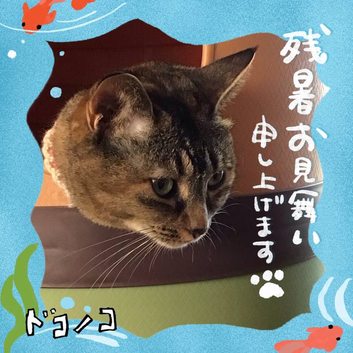 65e0c949 70f5 4aac ae73 e47333322875 1723333002929