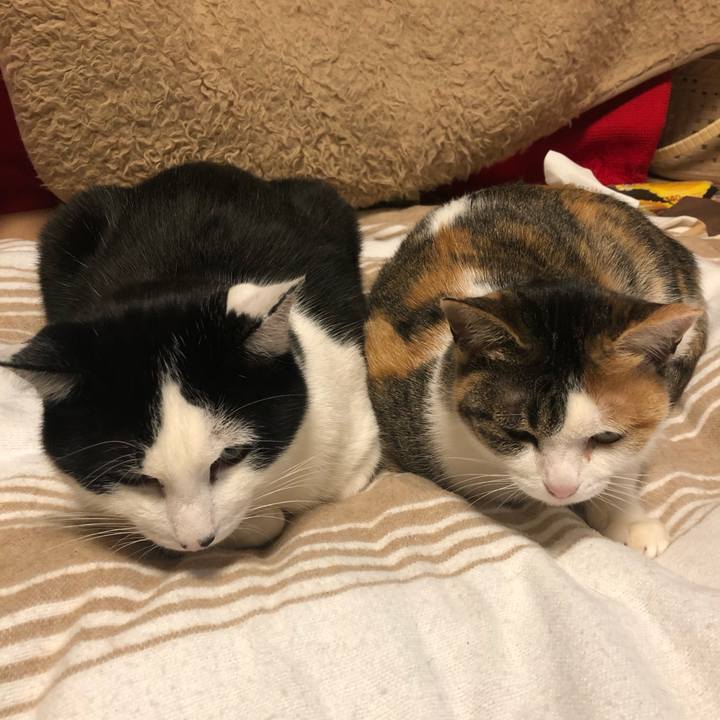 65e0cd8e d97d 476e bb4c bb9e20121082 1578915651180