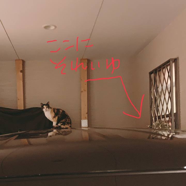 65e0d4cb 1118 4e16 a16d 2335a7e84aab 1559920779891