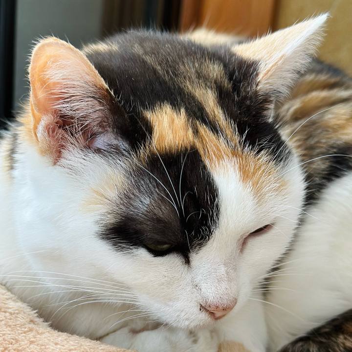 65e106e1 80b6 4548 b726 fd3fcb0d9f8e 1704496092897