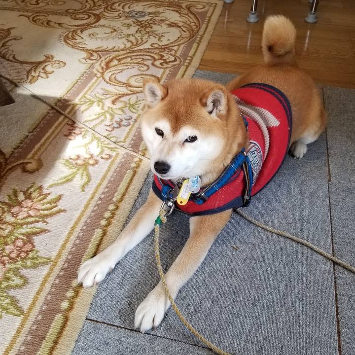 65e12430 1f41 42ea 83d7 a9f3ffbe786b 1548558538716