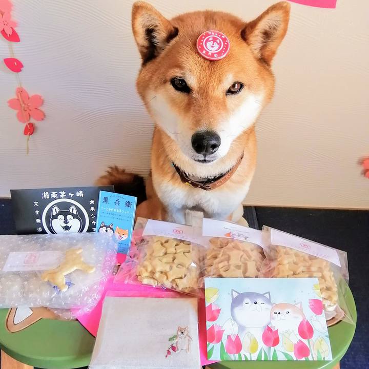 65e18f26 e9d5 4e28 b37c a22195011655 1587265425485