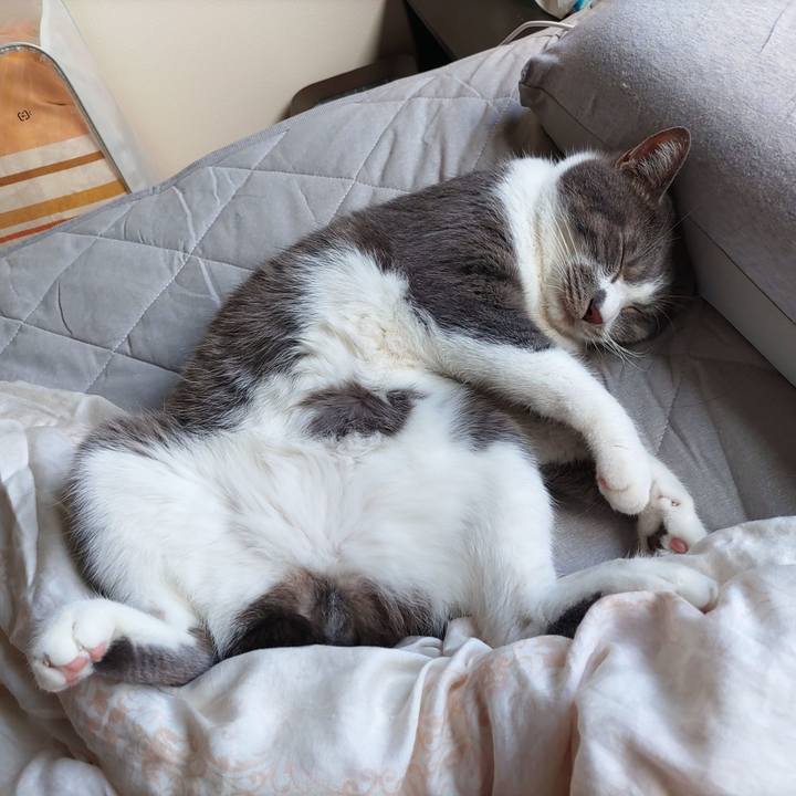 65e1a410 4084 469a 9697 0298c9b172a6 1685252244343