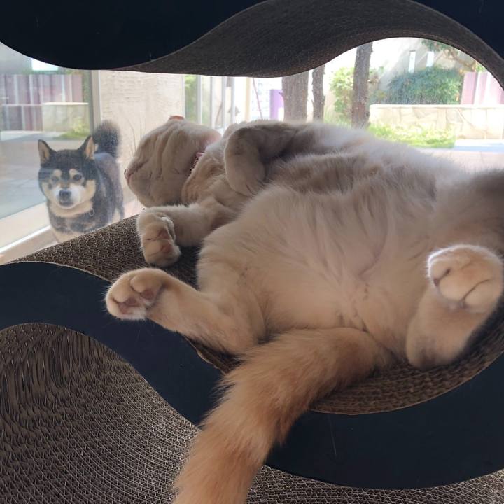 65e1beb9 df9a 4f87 b25a 7505e519051f 1559376255576