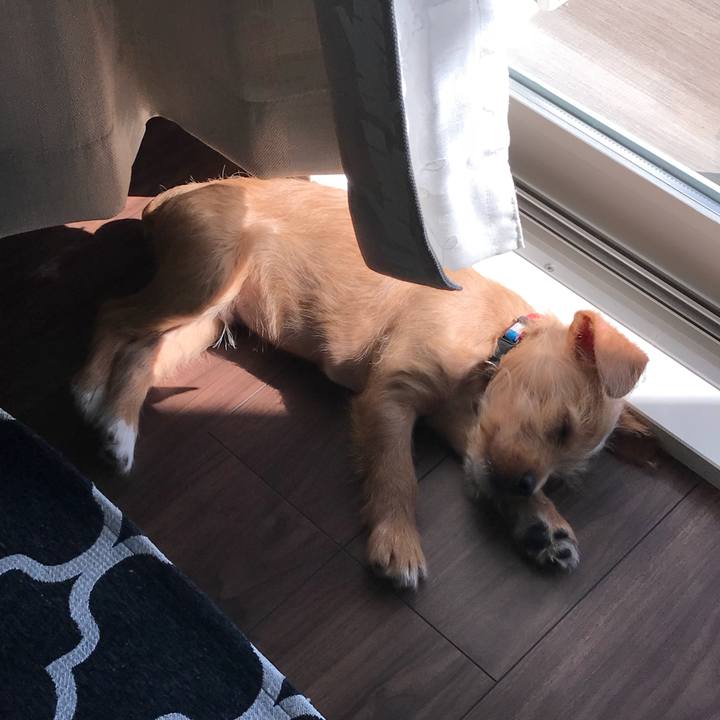 65e1c1e1 d8bb 4429 a9c8 b94e277af25d 1519005270721