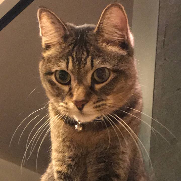 65e1f149 dd72 4869 b503 e848f5a6282d 1547650690240