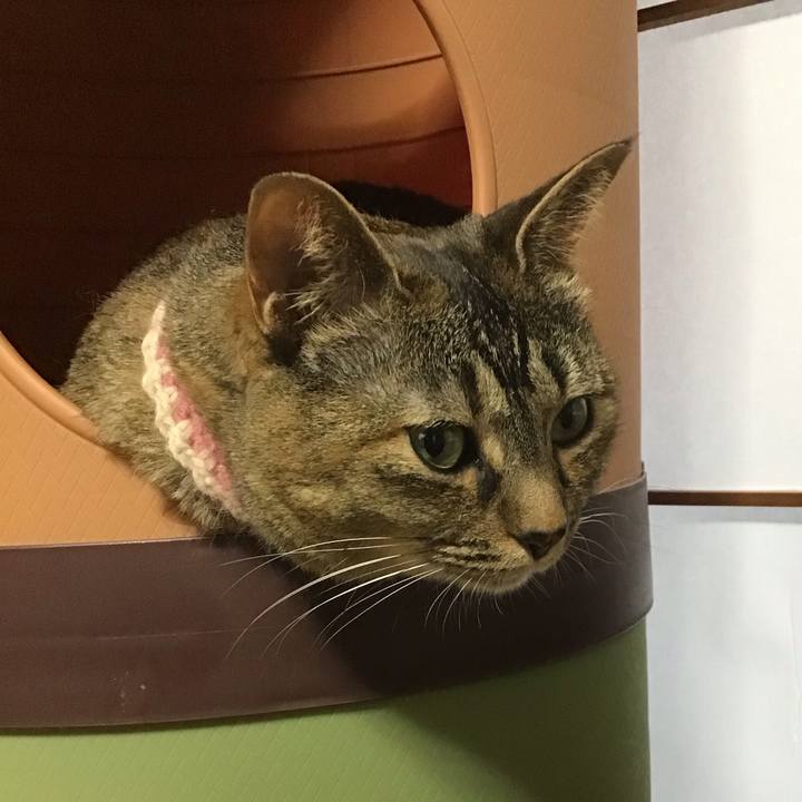 65e22b21 c1d2 41f1 b659 cffb0124c1b6 1718695262928