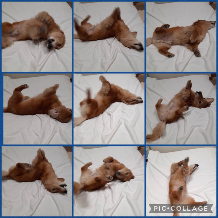 65e24067 8f27 42d3 8eaf 93a09237b335 1643019650025