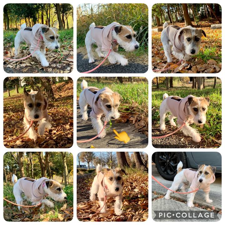 65e25972 a3d4 427d af77 713d369148ca 1607066807148