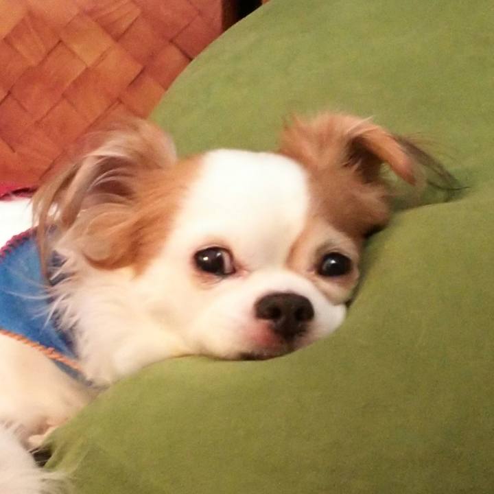 65e28978 52d8 4b2b bb63 d1e4cc65f5e7 1711594541105