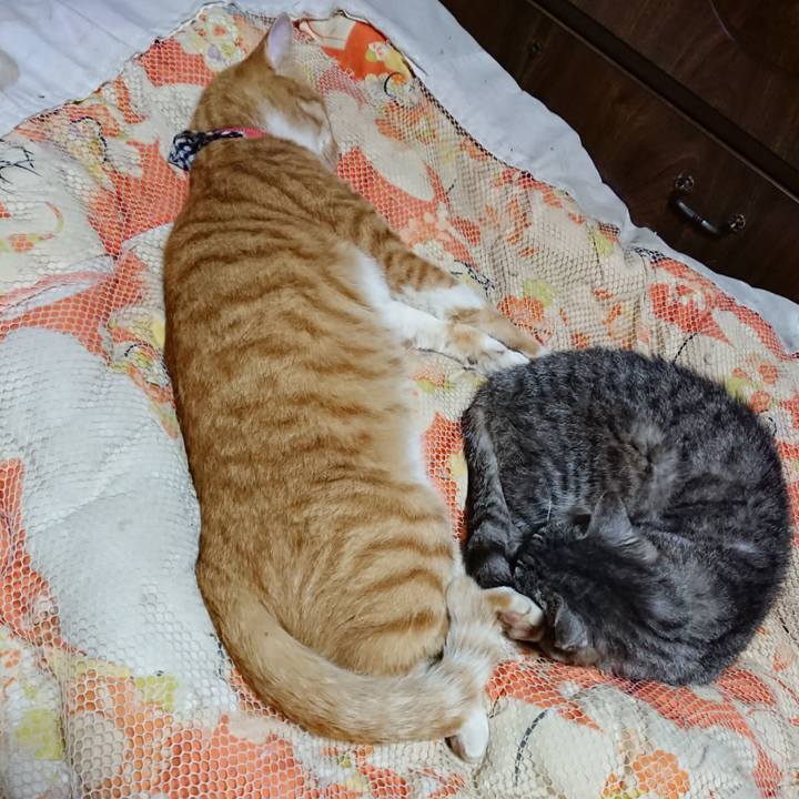 65e2a3b2 d46b 4a19 a5b2 367a328c6d03 1571578051464