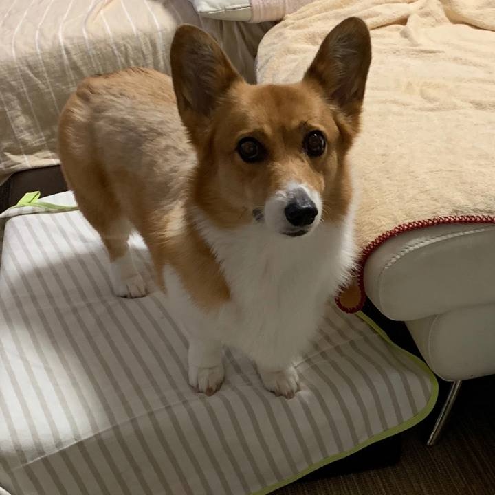 65e2b7a1 3f78 40ac ba03 c974f6159184 1562683453274