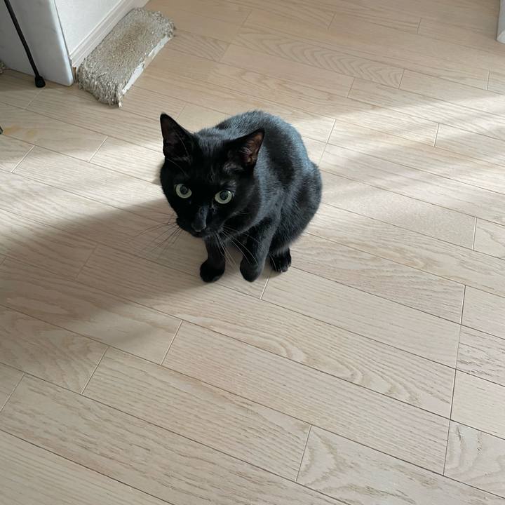 65e2ce39 3887 4b9b ace6 d0632d8caab4 1650715609874