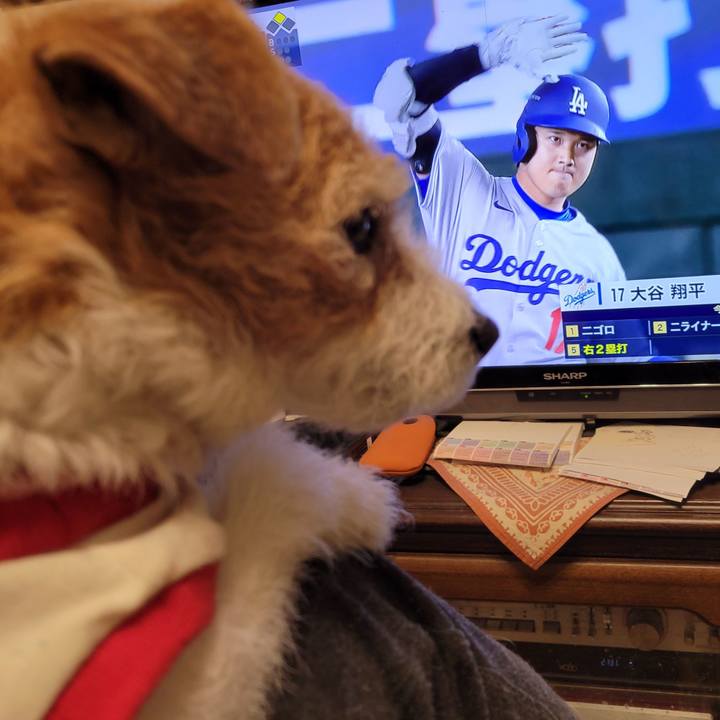 65e2e121 e19a 48ea 9ec5 8334791402a0 1742301931196