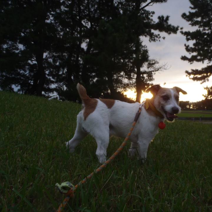 65e329a5 3233 4fe6 a474 a70f55ebac16 1511779038200