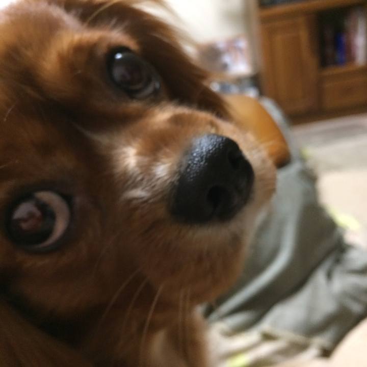 65e32c8c 8b90 46c4 806e a70893dcaf8e 1516709431985