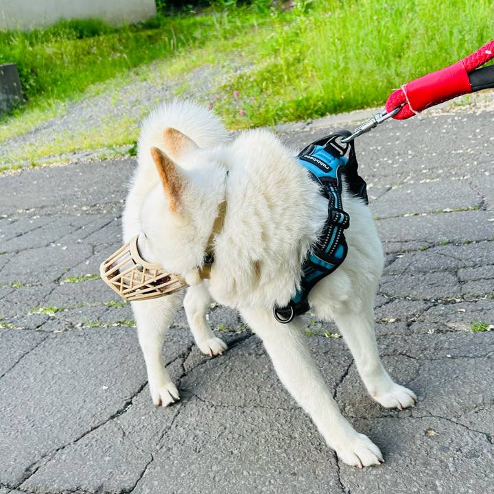 65e333af b753 4243 8b65 14154d5c6f8e 1718756099145