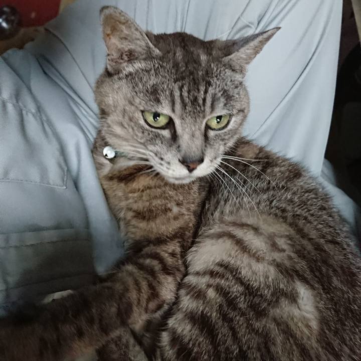 65e33b6b b3f5 44cf 8277 58a99eb9a917 1567029523916