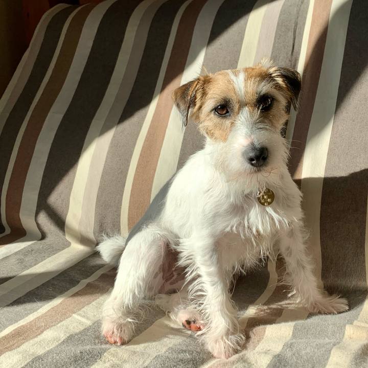 65e37b23 7994 494e 9326 1a3b04e2fd77 1607302863420