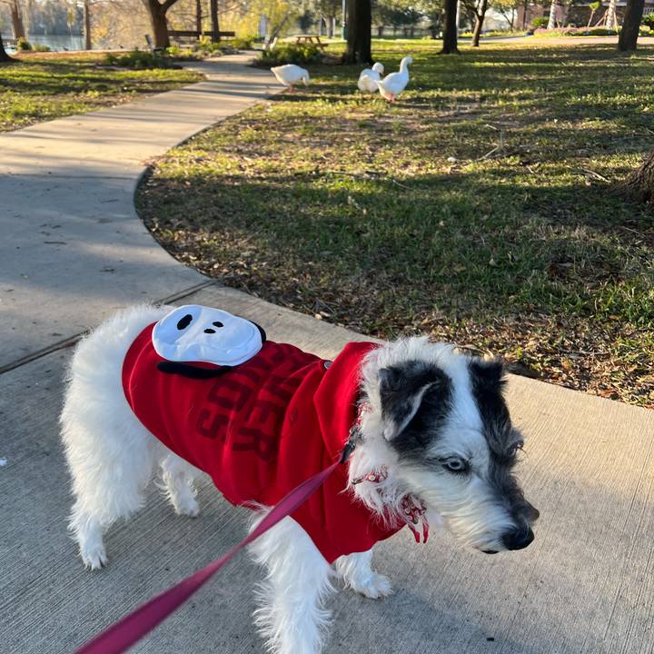 65e37b8d 2eda 43c1 858a 6234ebe8ec95 1703977640956