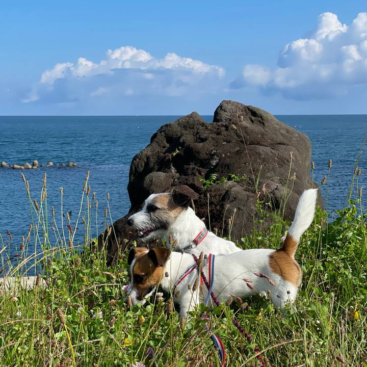 65e3adc5 fab6 4484 ae22 0fda8d138d9f 1624146874348