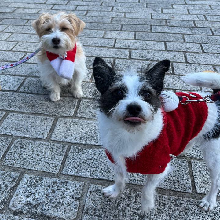 65e3da03 5dd8 4a27 999f 093d5d7e610d 1670729989642