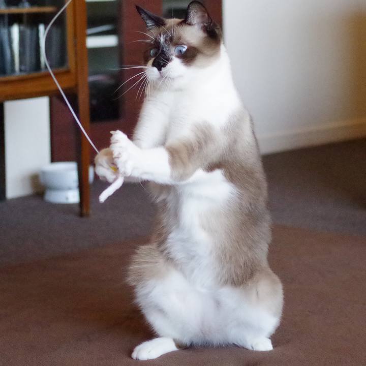 65e41960 c4c1 434a 9982 826d0659eff5 1534640194960