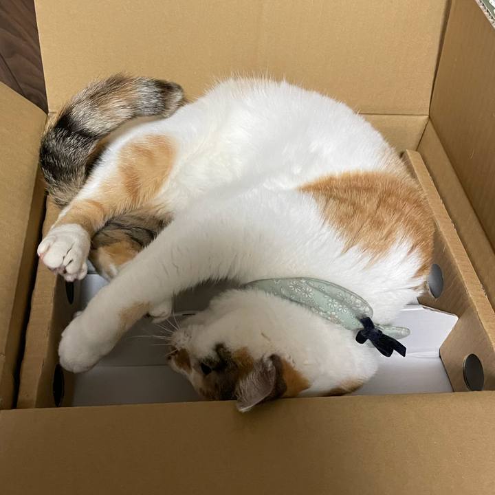 65e433c8 e064 44b7 ac4f 585521545769 1677682940114