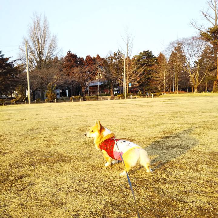 65e454f6 558c 438f ab5c b0ae110004f6 1551432536022