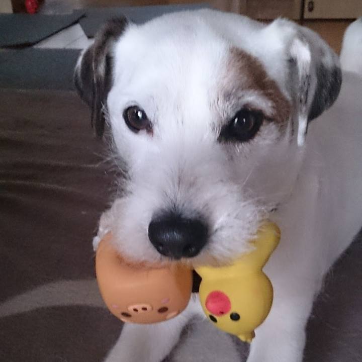 65e466da 2eef 411e 9600 3128dbf1be54 1615293668215