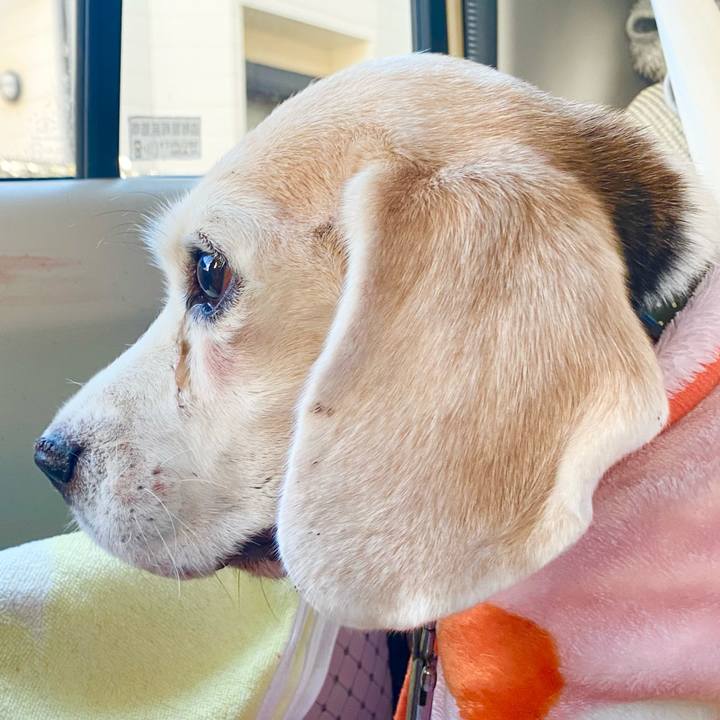 65e4896b 09a5 4250 8c6a d8664c7b45f3 1670854702706