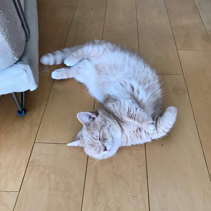 65e4ab26 c919 4add 8776 786b72009763 1543121775322