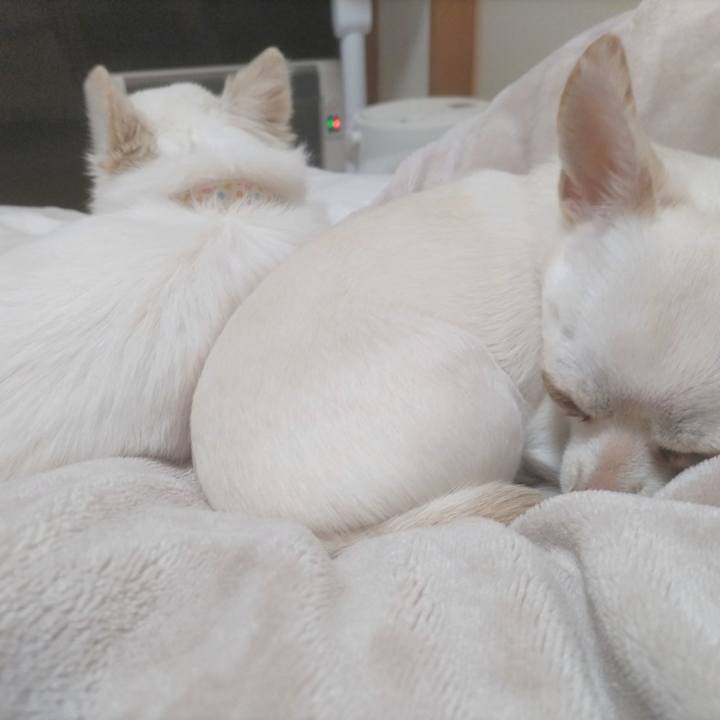 65e51354 c5d2 41a4 8eb0 f07cce5c81d4 1771757843471