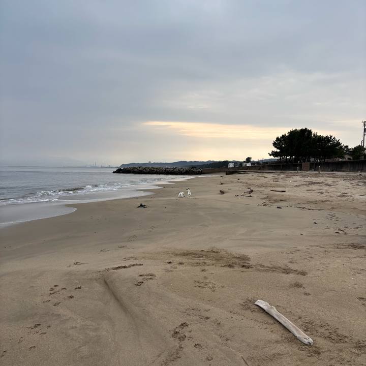 65e5884a 238b 40e4 8766 18bf3a14121c 1768786129541