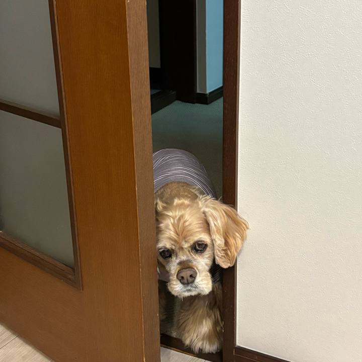 65e5df1b 92a1 4b81 bbe9 1922dd2e062a 1763297738309