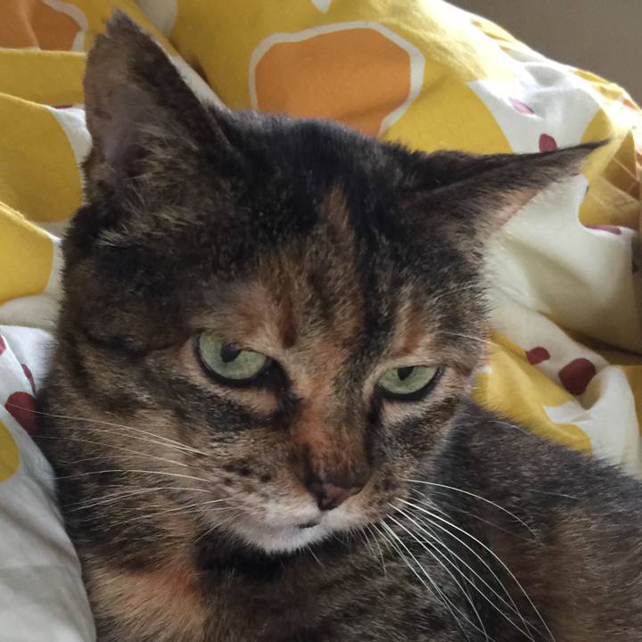 65e61304 8331 453b 912a 31d0d0f7e8d3 1526473891493