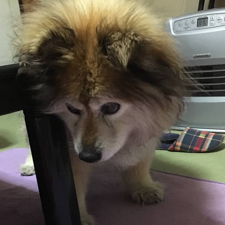 65e62e90 e51b 48c0 8949 96d2f88f4784 1579134782253