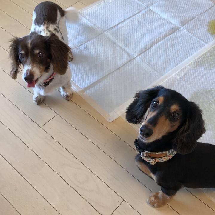 65e6332e 36d6 411f aeda 309ec915d11e 1565932453452