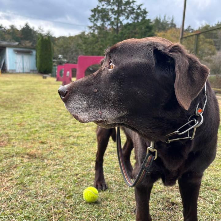 65e64340 aa04 434c 835c f556c92b511d 1762082556388