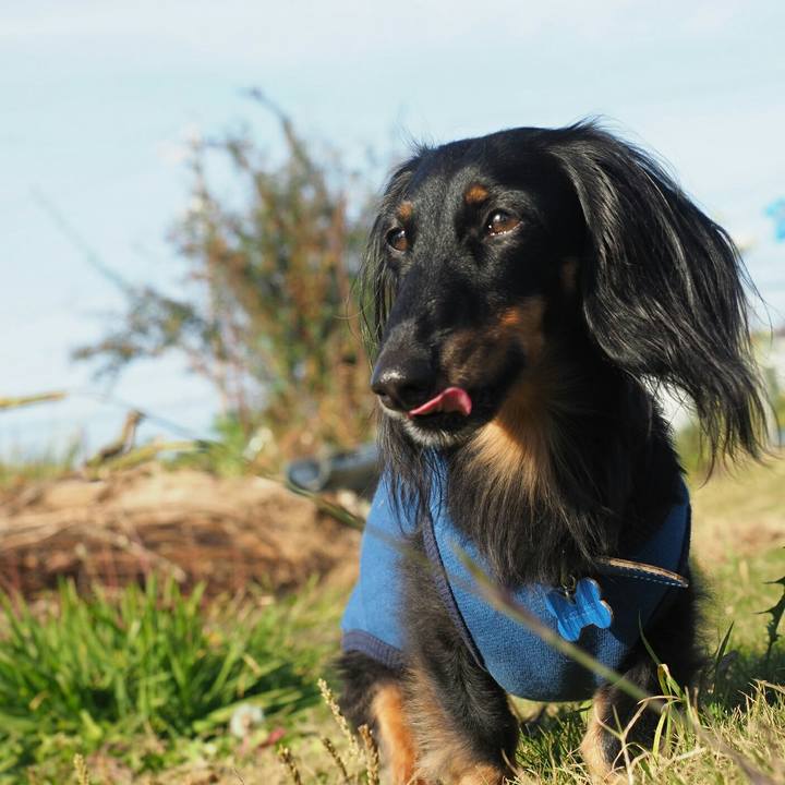 65e64b76 4568 47c1 9e92 c0f0598ff683 1575102732961