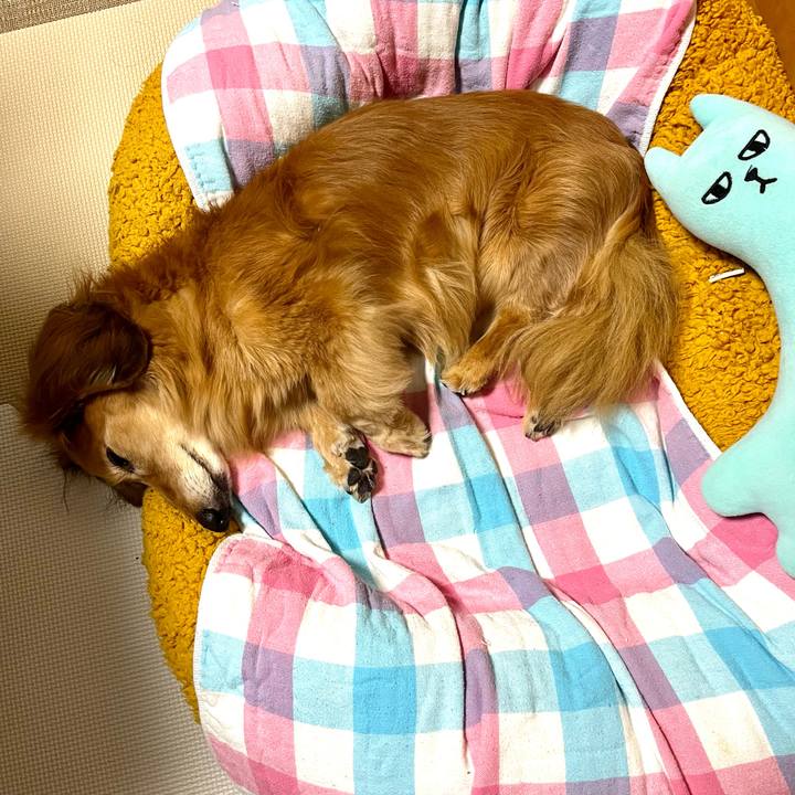 65e65743 eb78 4982 bc4c 49955f0d19e6 1682515449402