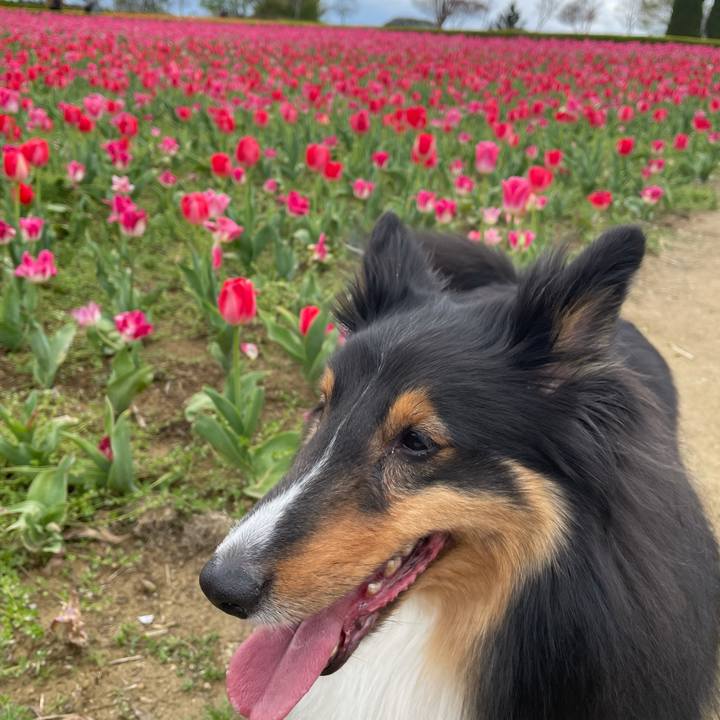 65e675d1 8707 435a 9a13 f5e972992ac7 1619854014822