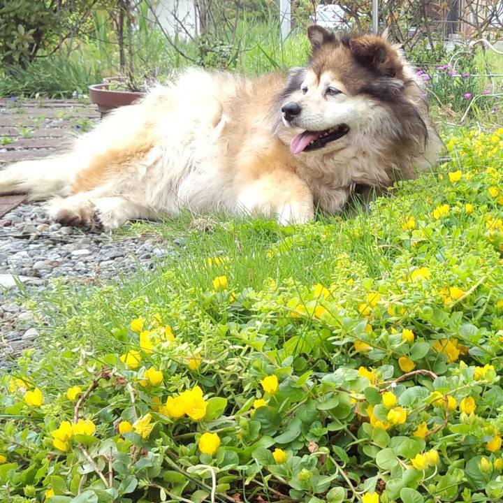 65e6b587 9f8e 4c13 927f e924263606f7 1567999549975