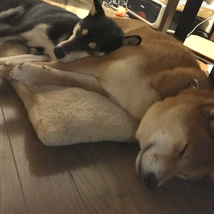 65e71d37 467b 49d1 99c9 f208e92d05fe 1510499938424