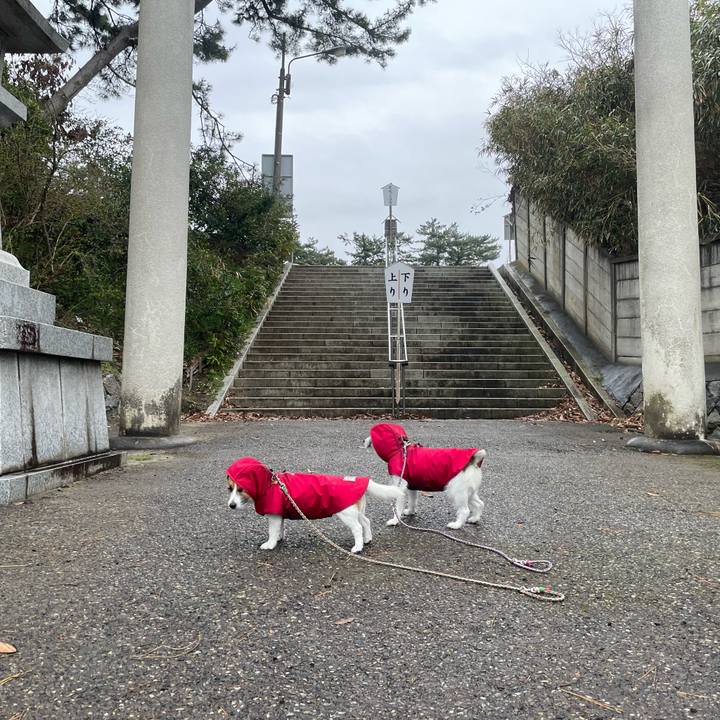 65e75465 dec0 4829 9e12 907e446496c5 1711409149700