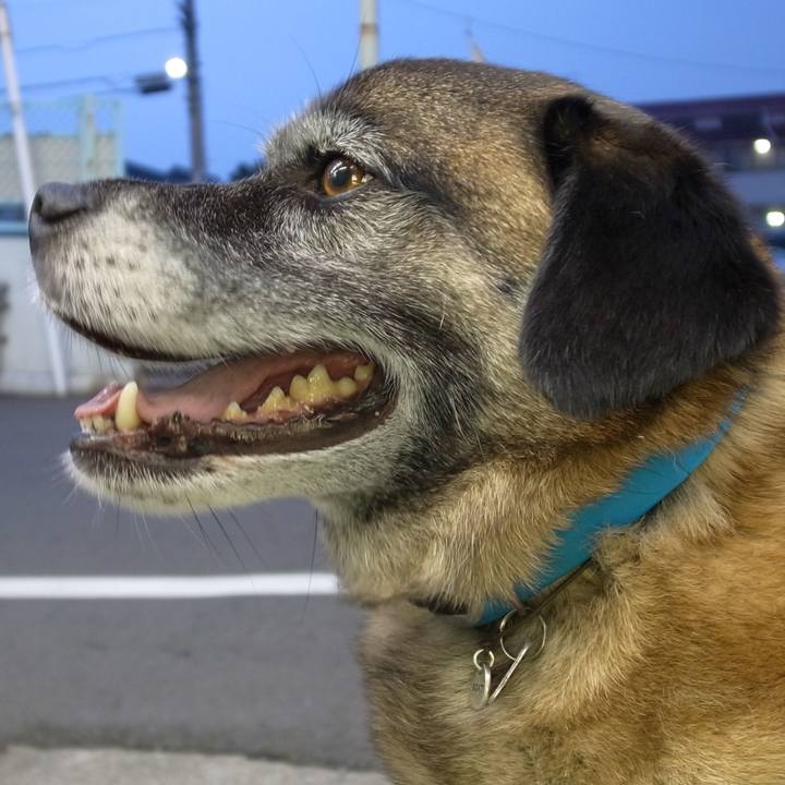 65e7794d ce3e 46fb 8214 203becc233fa 1582039238859