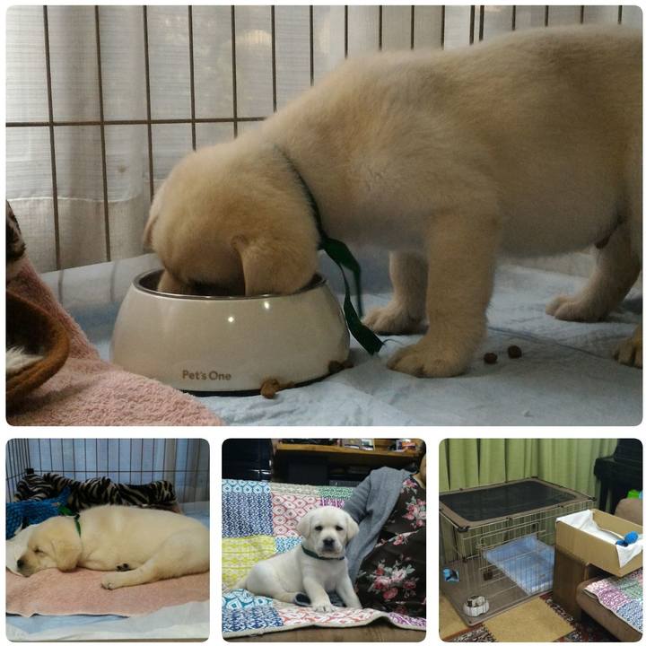 65e78bfb 6824 460c 8222 b18952b47da6 1554522172744